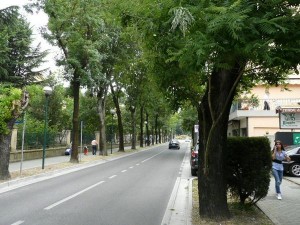 boulevard marghera