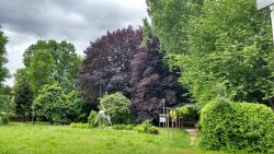 Il parco di Villa Simion - Sede della biblioteca