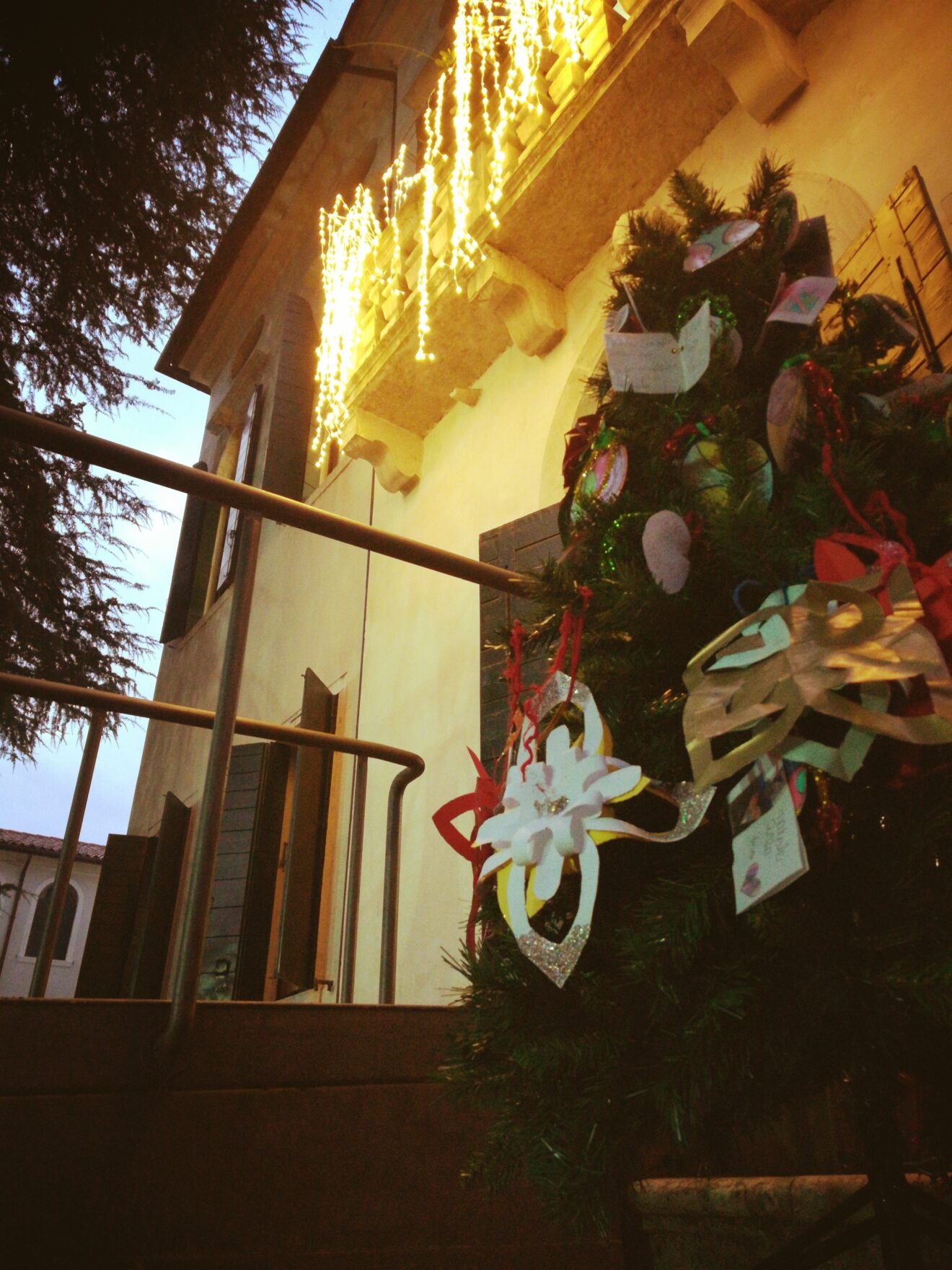 Scorci di albero di Natale